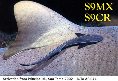 Principe island   IOTA AF-044
