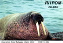Filename=RI1.jpg
Filesize=70KiB
Dimensions=960x649
Date added=Sep 03, 2017 RI1.jpg